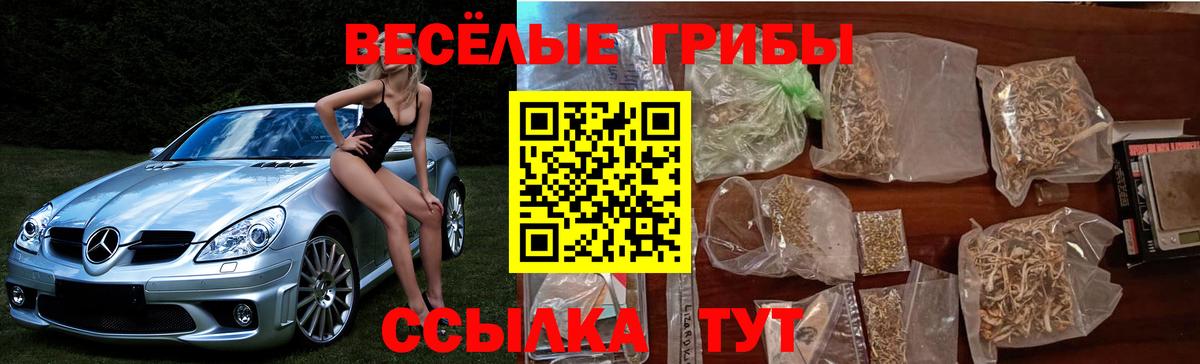 Галлюциногенные грибы Magic Shrooms Мценск