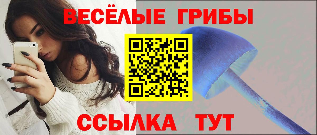 Псилоцибиновые грибы ЛСД  Вход с VPN  Мценск 